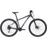 CANNONDALE 29 TRAIL 6 IOR